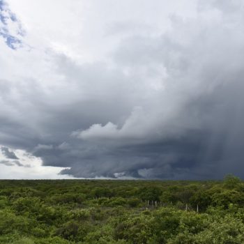 Chuva no interior do Rio Grande do Norte — Foto: Elisa Elsie/governo do RN